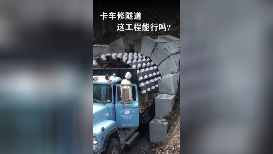 金算盘全网最全最准最新解密,电梯疾坠又猛冲至33楼致业主身亡,动态词语解释落实_手机版V6.62
