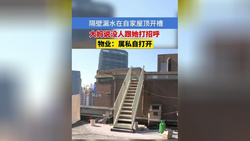 刻骨明辛,新奥门资料大全正版资料2025年免费,详细释义解释落实_完整版V8.23