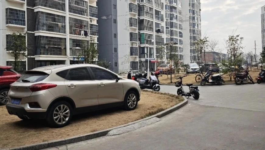 美团称外卖30%佣金率不实,本港台最快开奖直播,准确资料解释落实_免费版V1.23