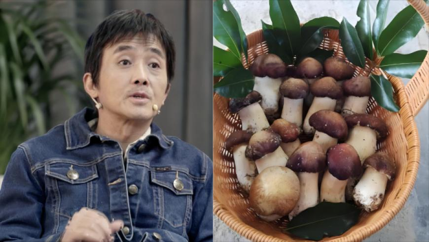 网红瑶一瑶陷摆拍争议,澳门今晚开奖结果和资料,机构预测与落实方法揭秘_标配版V11.70
