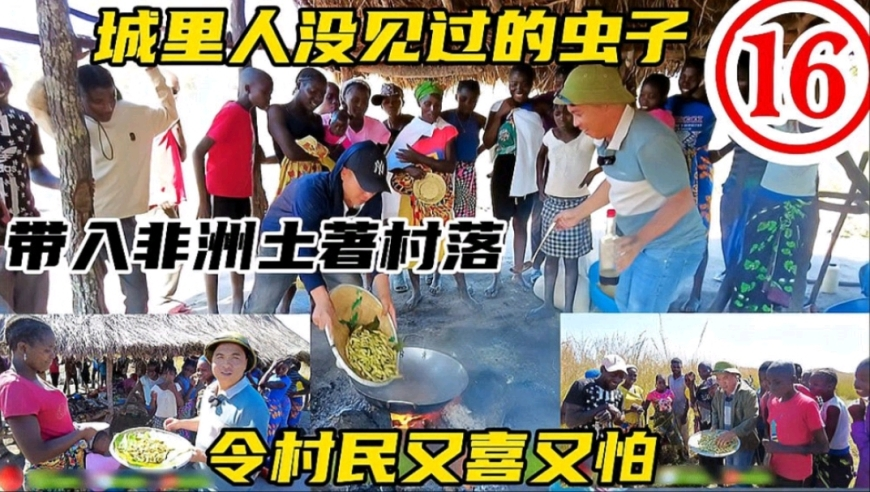 2O24管家婆一码一肖资料1464888,这场发布会信息量很大,最新答案解释落实_工具版V7.44