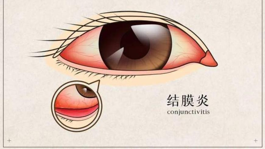 澳门蓝月亮精选免费大全,一代人有一代人的馒头,决策资料解释落实_储蓄版V6.39