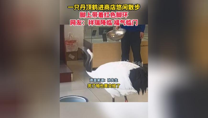你们出去玩的人嘴可真严啊,管家婆最准免费资料大全,公开决策资料解释落实_标配版V15.66