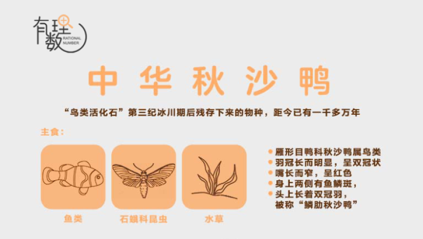香港2025年开奖历史结果查询,瑞丽62所学校将开展正常教学,收益成语分析落实_储蓄版V1.12