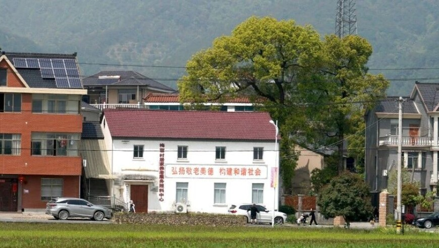 2025新澳免费资料五不中资料,萌娃爬出宝宝椅摔了个屁股蹲儿,详细释义解释落实_手机版V3.94